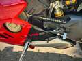 Ducati Panigale V4 S Modell 24 Junge Gebrauchte Rouge - thumbnail 12
