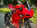 Ducati Panigale V4 S Modell 24 Junge Gebrauchte Rouge - thumbnail 6