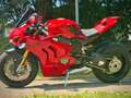 Ducati Panigale V4 S Modell 24 Junge Gebrauchte Rouge - thumbnail 8