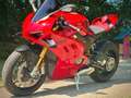 Ducati Panigale V4 S Modell 24 Junge Gebrauchte Rouge - thumbnail 7