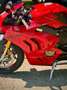 Ducati Panigale V4 S Modell 24 Junge Gebrauchte Rouge - thumbnail 10
