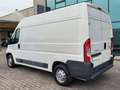 Peugeot Boxer 2.0 HDI 130CV H2 L2 DUCATO JUMPER White - thumbnail 8