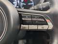 Mazda MX-30 MX-30 e-SKYACTIV First Edition LED+NAVI+RFK+ACC+ Silber - thumbnail 23
