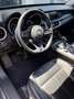 Alfa Romeo Stelvio Stelvio 2.0 Turbo 16V AT8-Q4 Super Gris - thumbnail 14