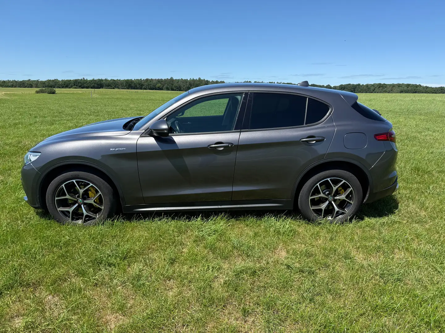Alfa Romeo Stelvio Stelvio 2.0 Turbo 16V AT8-Q4 Super Gris - 1