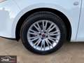 Fiat Bravo 1.6 Mjet 105 Cv Dynamic - CHILOMETRAGGIO CERTIFIC Weiß - thumbnail 19
