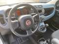Fiat Panda VAN 2P 1.0 70 CV HYBRID Bianco - thumbnail 11