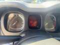 Fiat New Panda 1.0 FireFly Hybrid Gelb - thumbnail 16