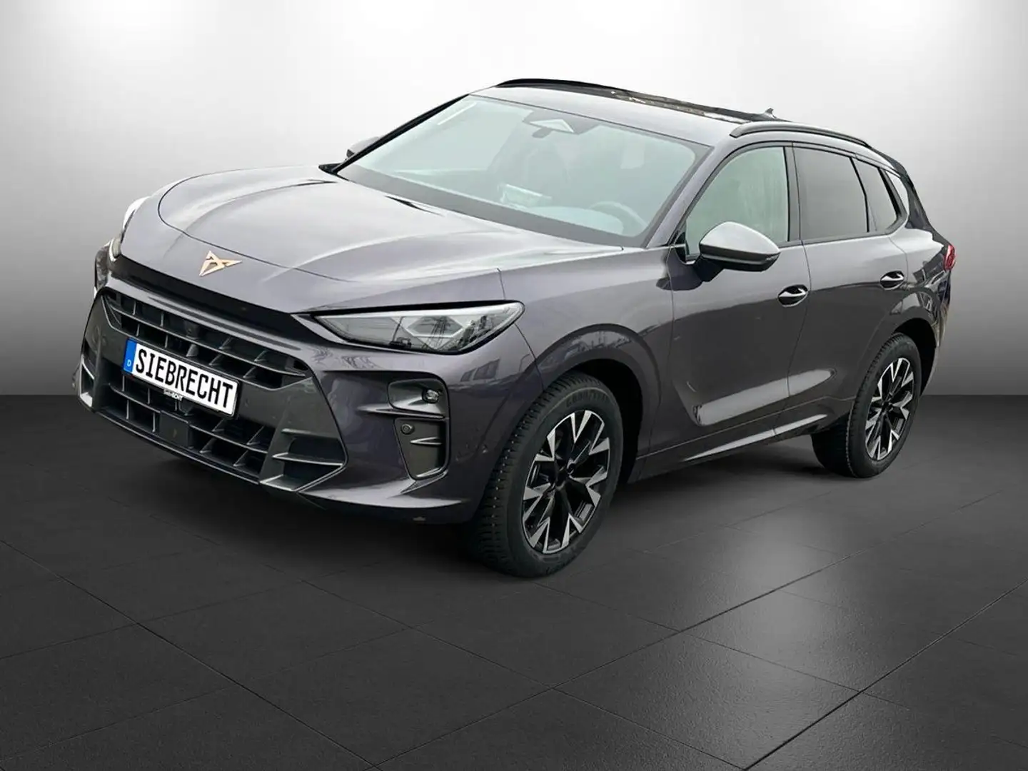 CUPRA Terramar 1.5 eTSI 110 kW Android Auto Paars - 1