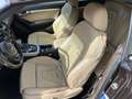 Audi A5 Cabrio 1.8 tfsi Business Plus 170cv multitronic E6 Marrone - thumbnail 6
