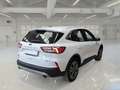 Ford Kuga 2.5 Benzina PHEV 152CV 2WD Titanium Auto - thumbnail 4