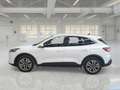 Ford Kuga 2.5 Benzina PHEV 152CV 2WD Titanium Auto - thumbnail 5