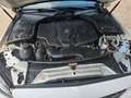Mercedes-Benz C 220 C -Klasse Coupe C 220 d TÜV 05/27 Weiß - thumbnail 13