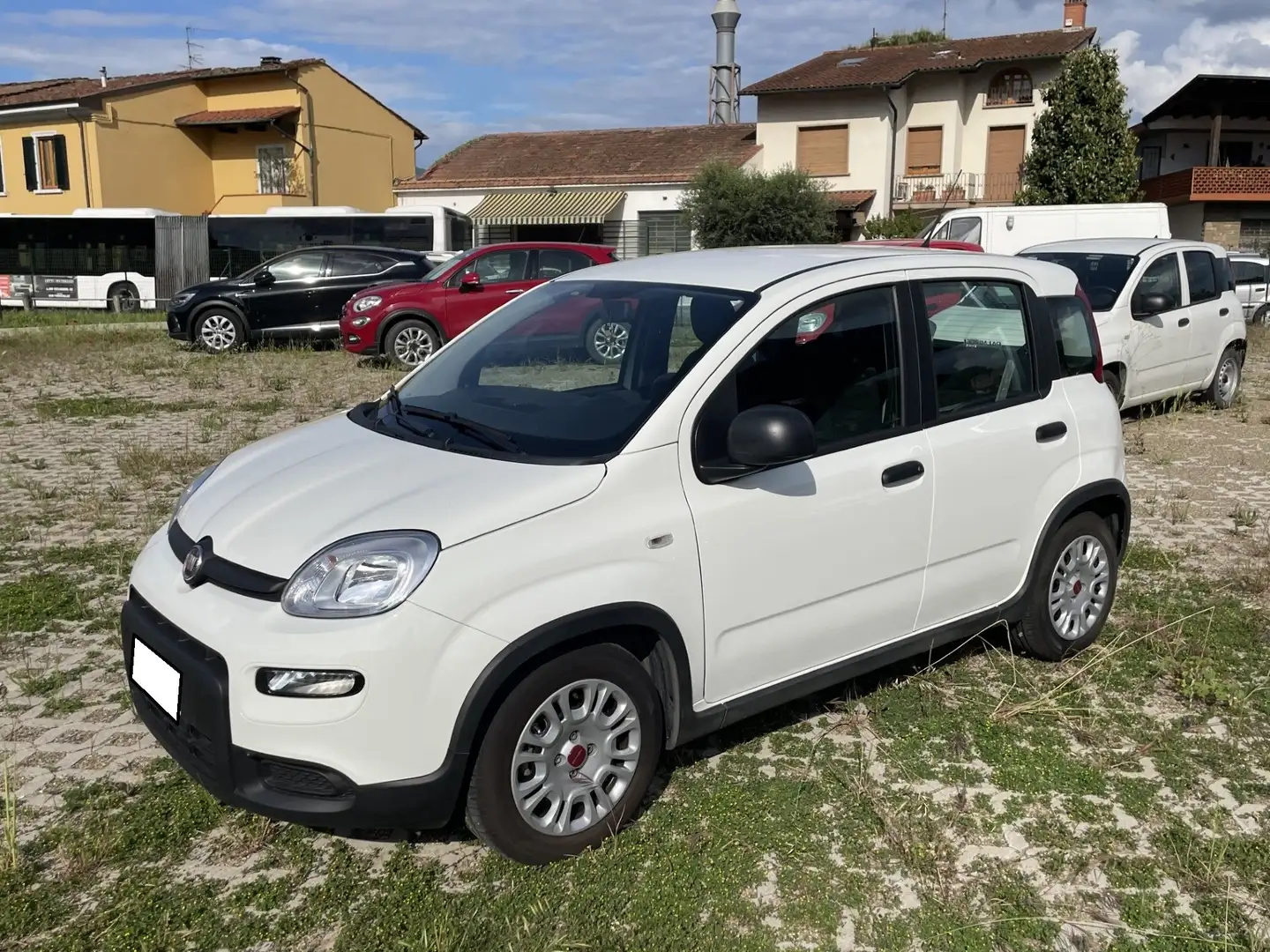 Fiat Panda Panda 1.0 firefly hybrid s Blanc - 1