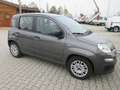 Fiat Panda Panda III 2021 1.0 firefly hybrid City Life s - thumbnail 3