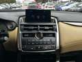 Lexus NX 200t t Executive Line AWD "Navi"Leder"Kamera" Silber - thumbnail 34