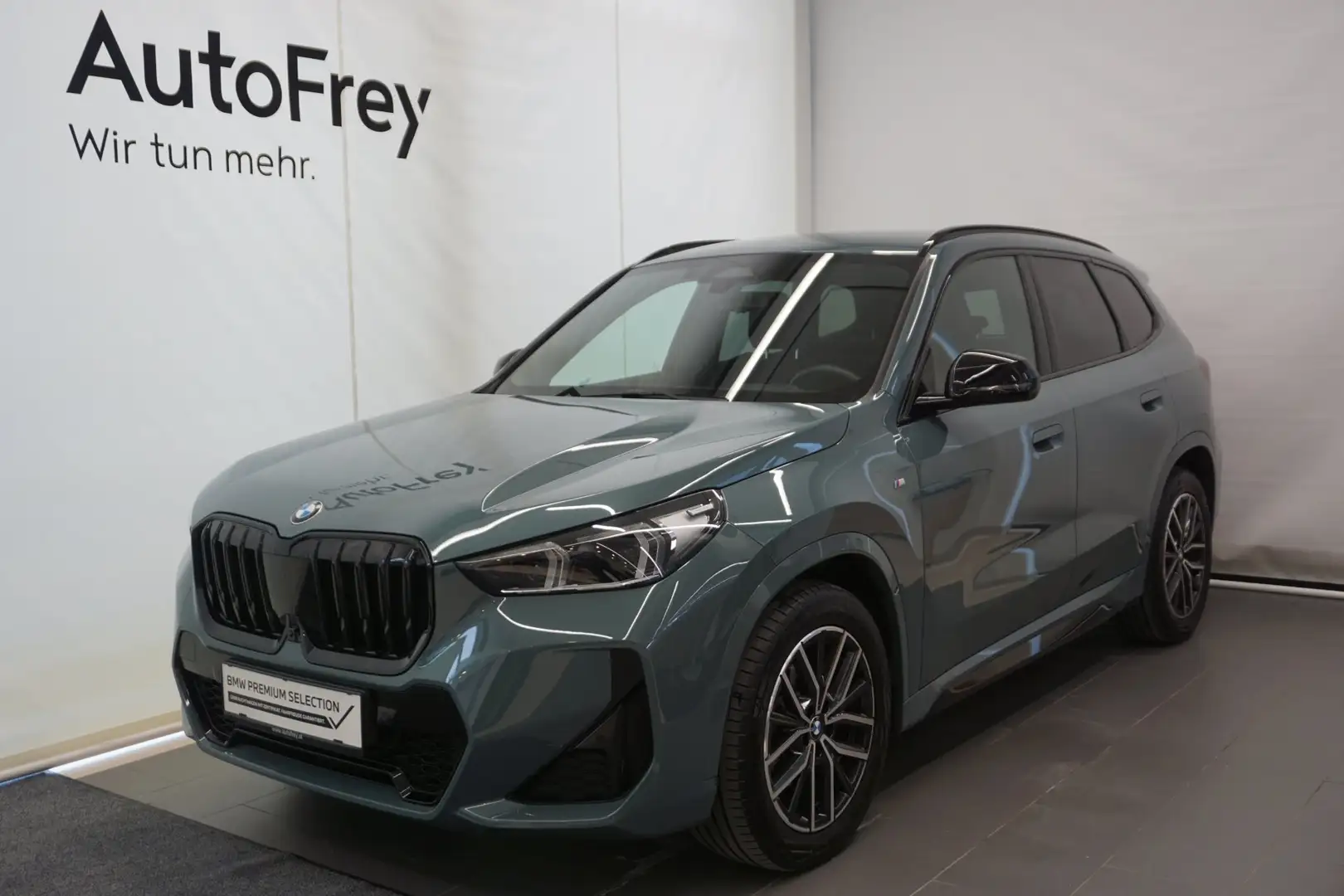 BMW X1 xDrive20d Grün - 1
