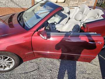 Coupe Elegance
