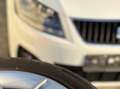 SEAT Alhambra Alhambra Style 2,0 TDI CR DPF Style Weiß - thumbnail 11