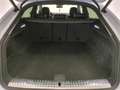 Audi Q8 50 TDI 286 CV quattro tiptronic Bianco - thumbnail 7