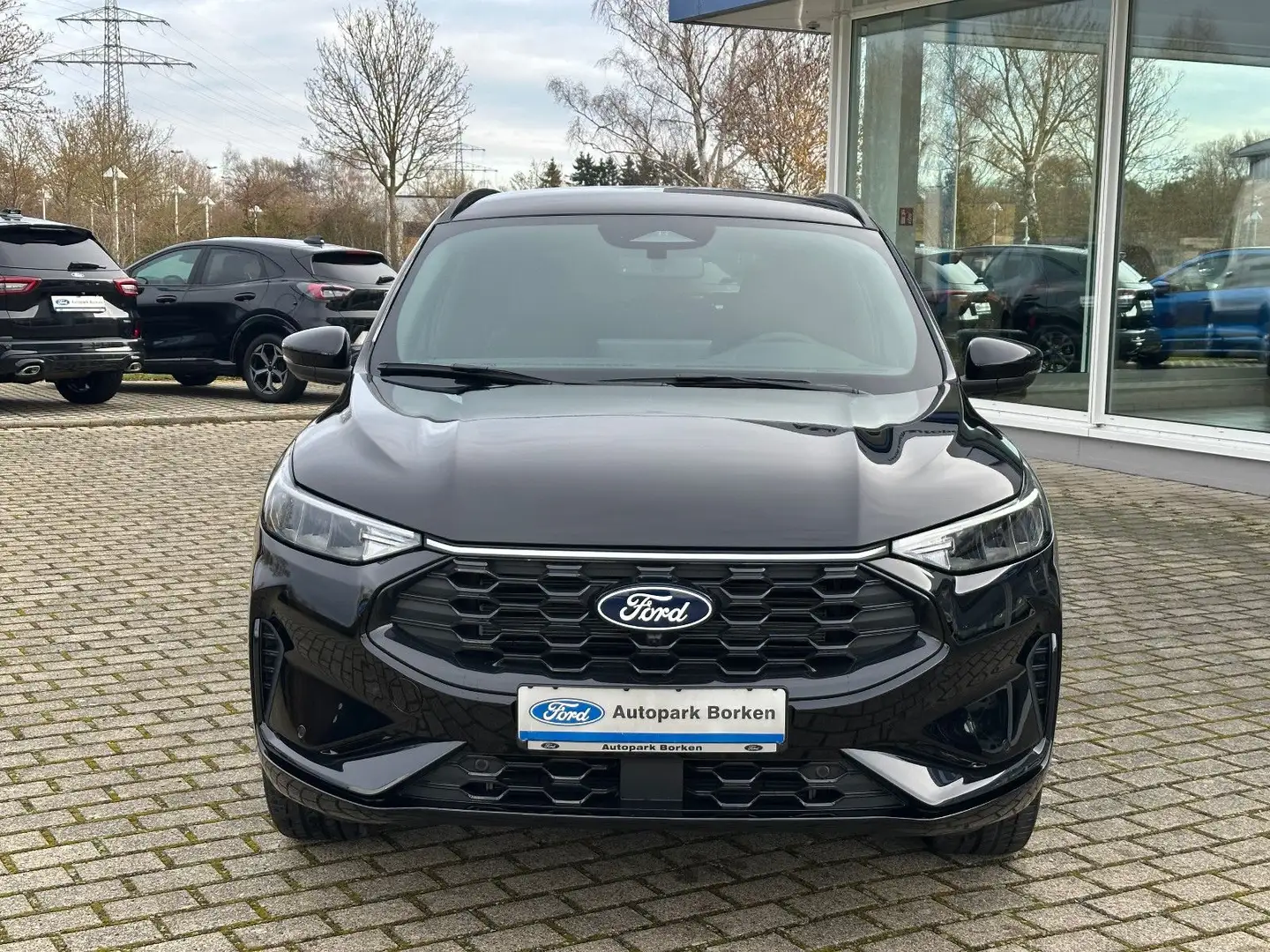 Ford Kuga Plug-In Hybrid ST-Line X Black Package AHK Negro - 2