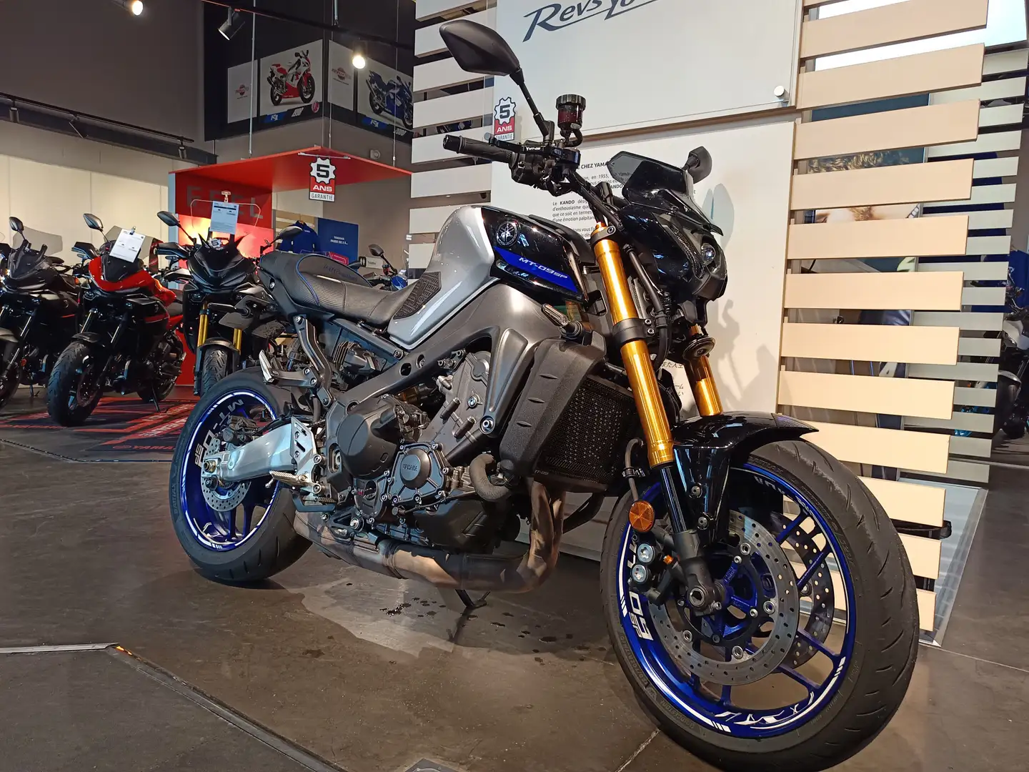 Yamaha MT-09 Gris - 2