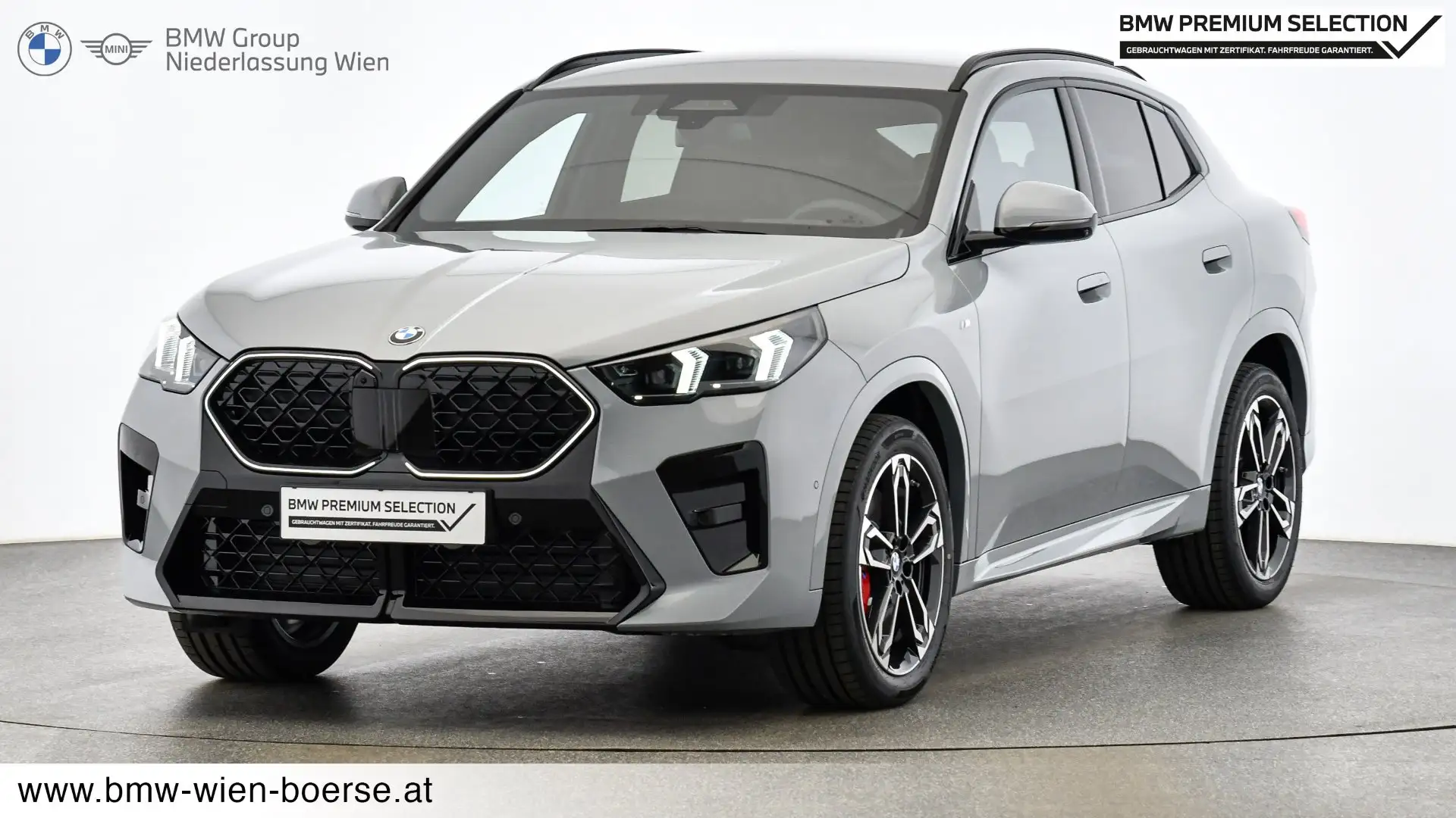 BMW X2 sDrive20i Grau - 1