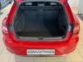 Volkswagen Arteon Shooting Brake TDI R-Line DCC LEDER H&K Rosso - thumbnail 9