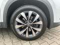 Skoda Kodiaq Kodiaq 2.0 TDI 4x4 DSG Selection AHK*PANO*7SITZE Weiß - thumbnail 6