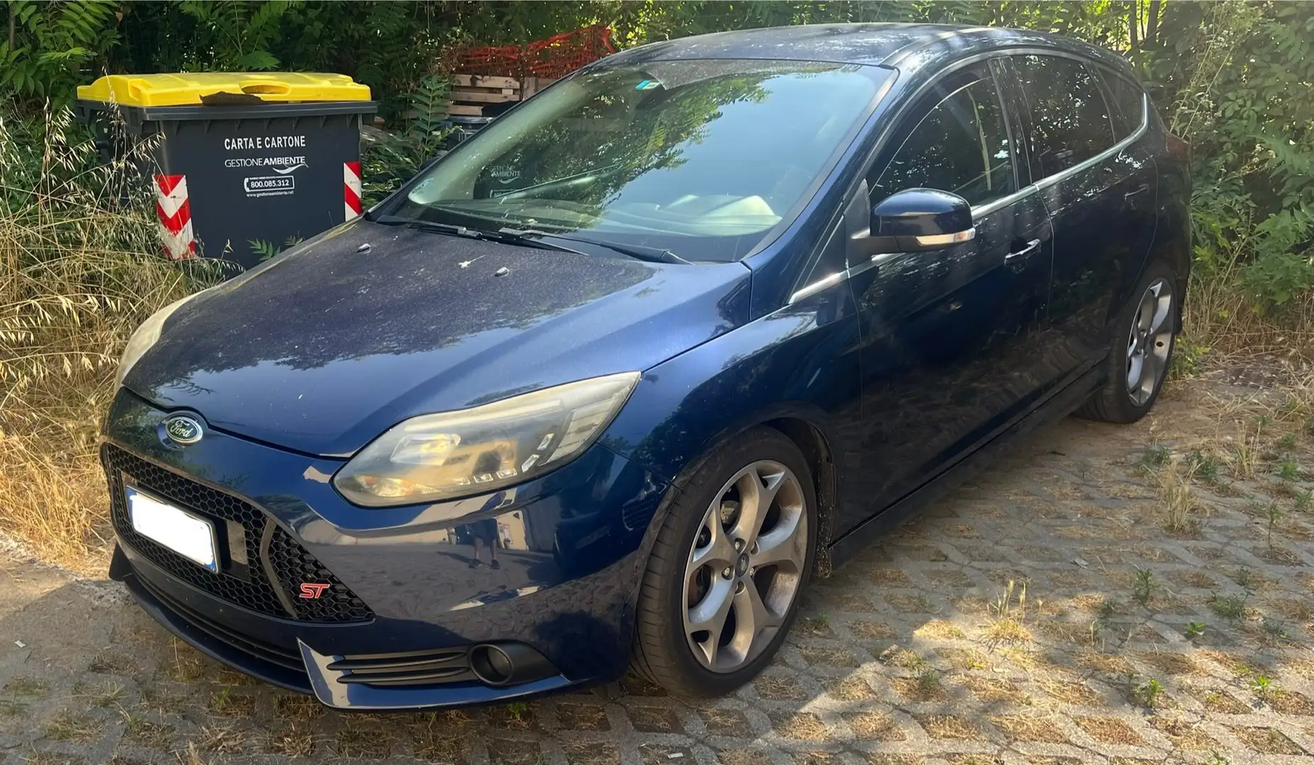 Ford Focus 5p 1.6 tdci Titanium 115cv allestimento ST - 1