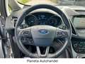 Ford C-Max C-MAX Titanium*NAVI*KLIMATRONIC*SHZ*LHZ*AH Silber - thumbnail 16
