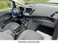 Ford C-Max C-MAX Titanium*NAVI*KLIMATRONIC*SHZ*LHZ*AH Silber - thumbnail 10