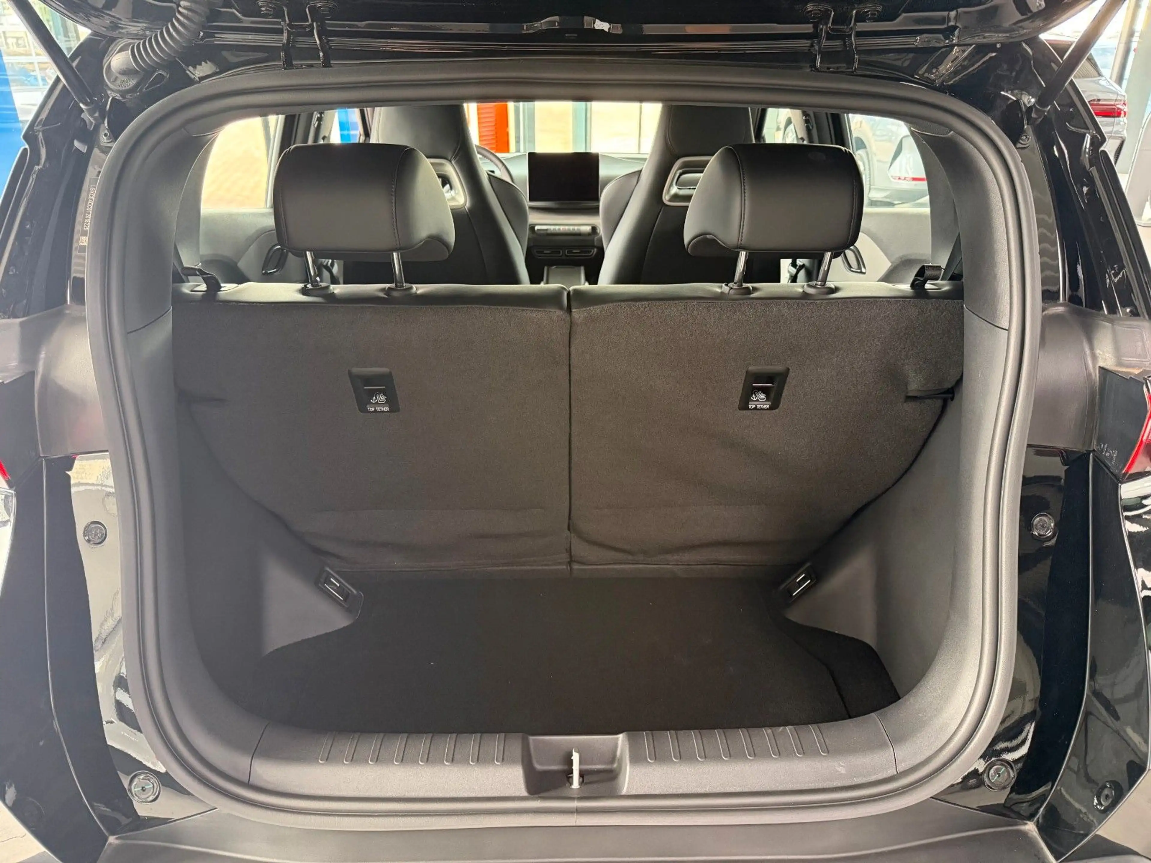 BYD Dolphin Surf Boost RFK KEYFREE — photo 11