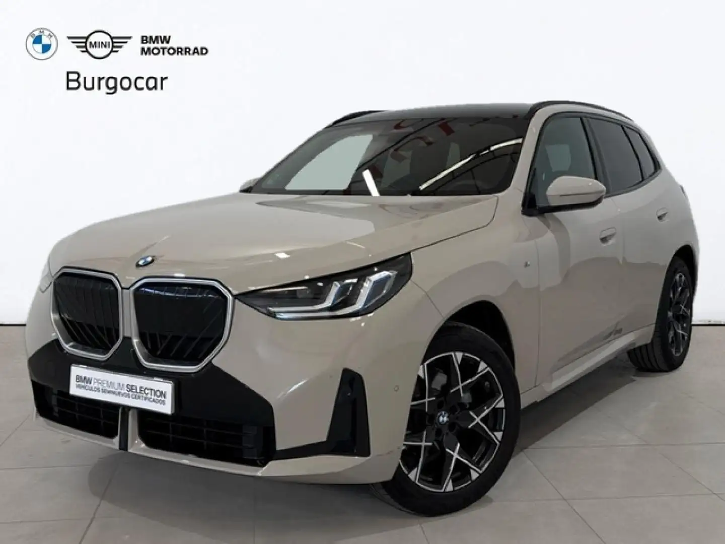 BMW X3 xDrive 20dA Gris - 1