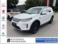 Land Rover Discovery Sport D165  Aut. AHK Navi Kamera Blanc - thumbnail 1