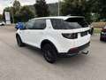 Land Rover Discovery Sport D165  Aut. AHK Navi Kamera Blanc - thumbnail 3