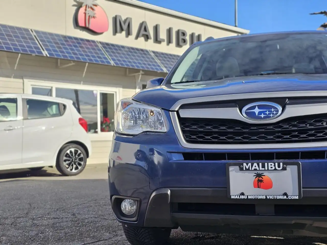 Subaru Forester fotografie Subaru Forester