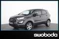 Ford EcoSport 1,0 EcoBoost Trend Gris - thumbnail 1