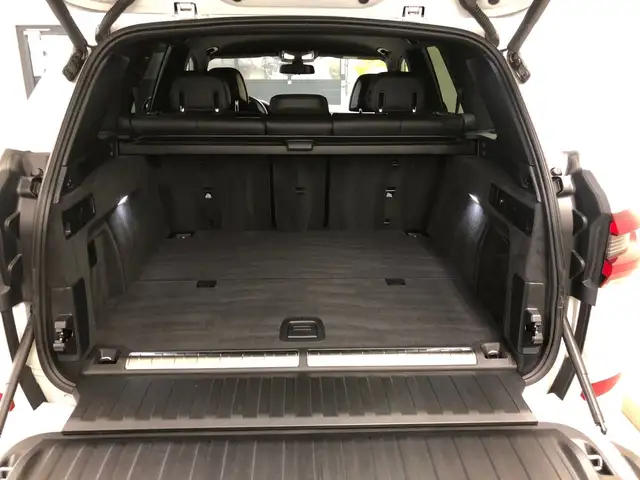 BMW X5 xDrive45e Ansicht 11