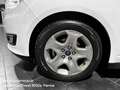 Ford C-Max 7 1.5 TDCi 120CV Start&Stop Plus Weiß - thumbnail 6