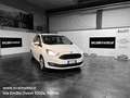 Ford C-Max 7 1.5 TDCi 120CV Start&Stop Plus Blanc - thumbnail 1