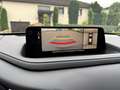 Mazda CX-30 G140 Exclusive-Line Automatik BOSE 360 Kamera Silber - thumbnail 12