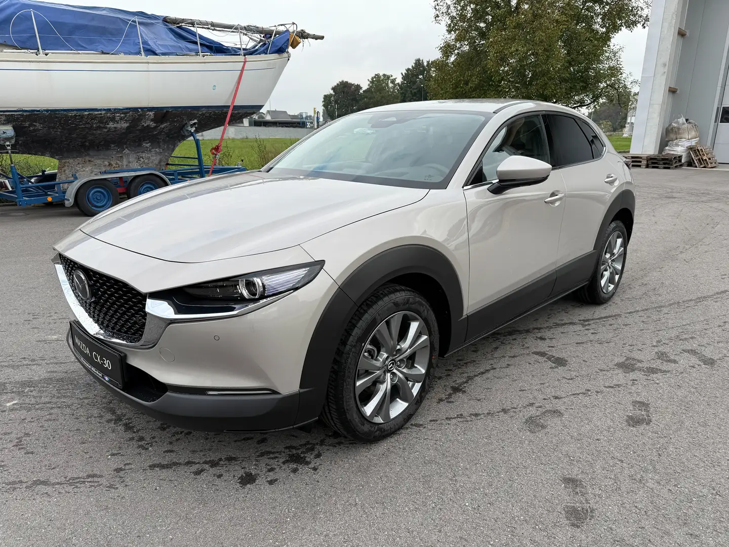 Mazda CX-30 G140 Exclusive-Line Automatik BOSE 360 Kamera Silber - 1