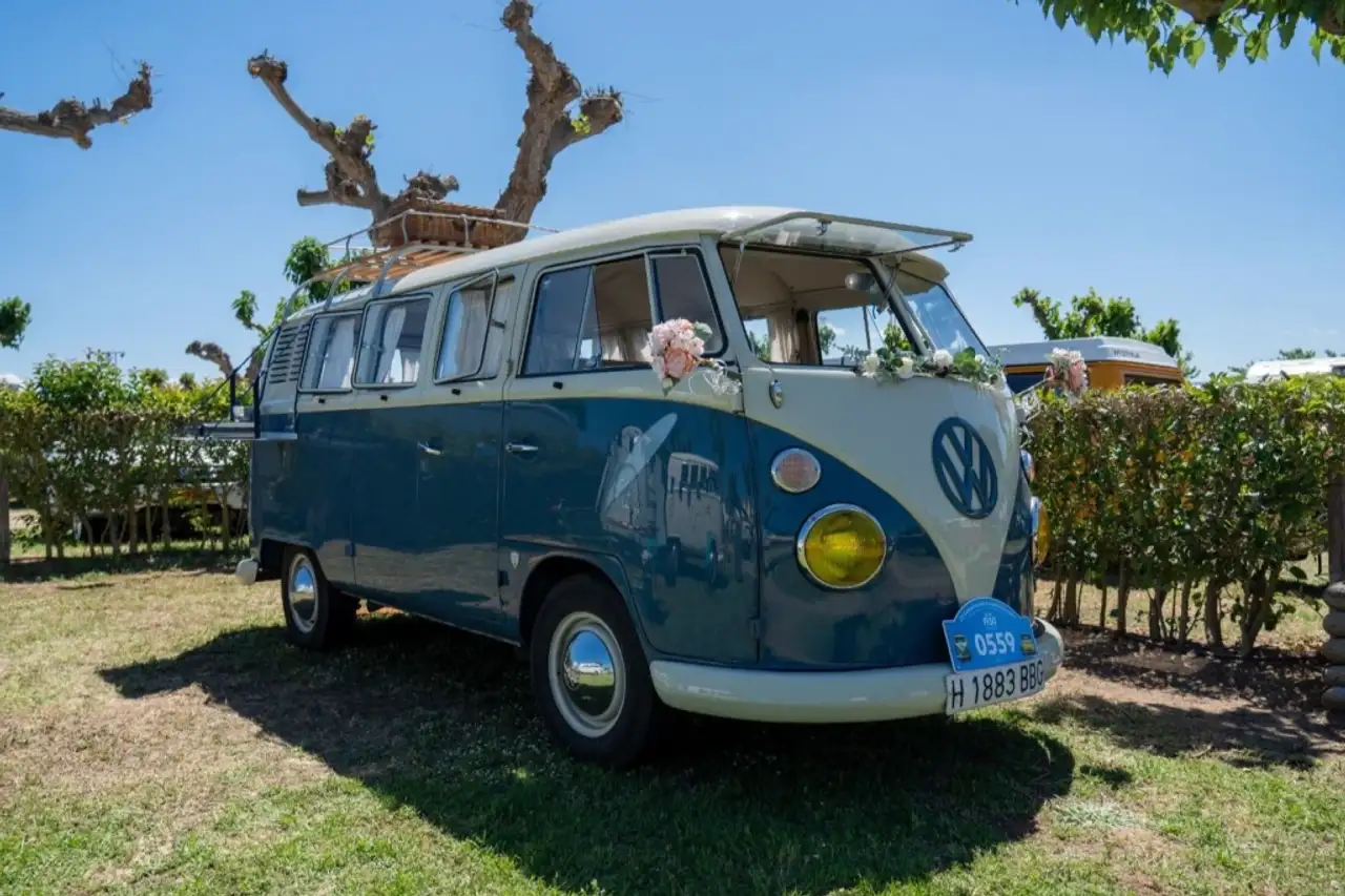 Volkswagen  Bus (Samba), foto 2