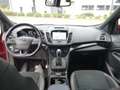 Ford Kuga 2,0 TDCi ST-Line Powershift Aut. Rouge - thumbnail 9