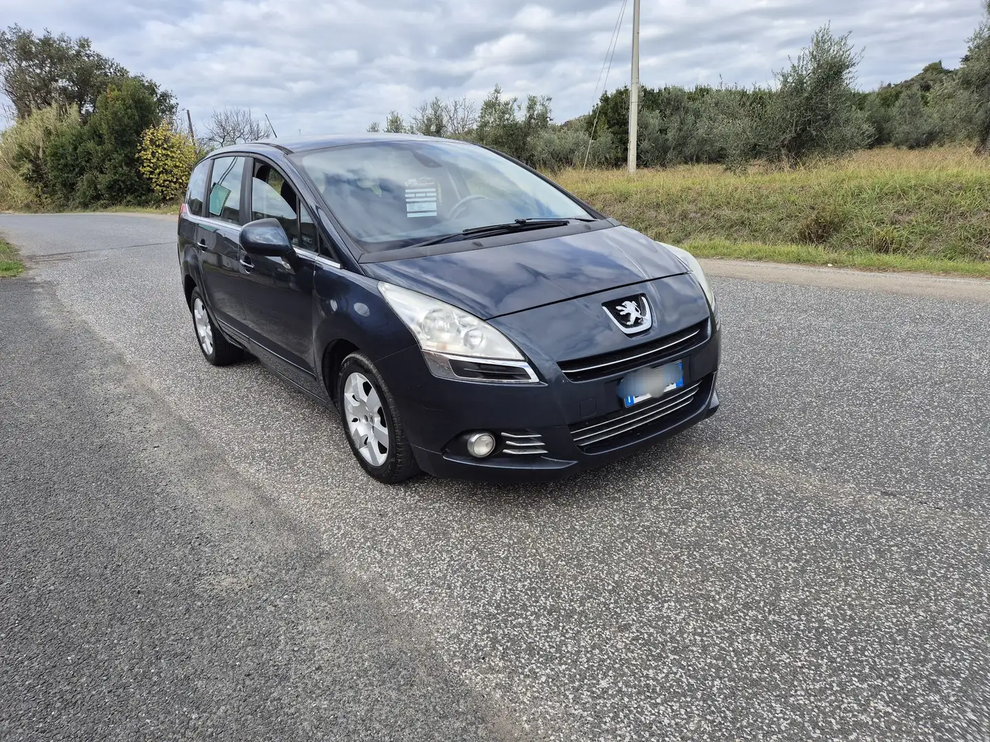 Peugeot 5008 1.6 hdi 8v Family 112cv - 2