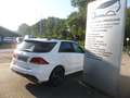 Mercedes-Benz GLE 350 d 4Matic AMG Night PANO Weiß - thumbnail 5