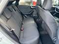 Ford Puma 1.0 HYBRID 125 MHEV Titanium |PD|GJR| Grau - thumbnail 20