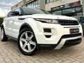 Land Rover Range Rover Evoque Range Rover Evoque 2011 5p 2.2 sd4 Prestige 190cv Bianco - thumbnail 1