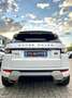 Land Rover Range Rover Evoque Range Rover Evoque 2011 5p 2.2 sd4 Prestige 190cv Bianco - thumbnail 6